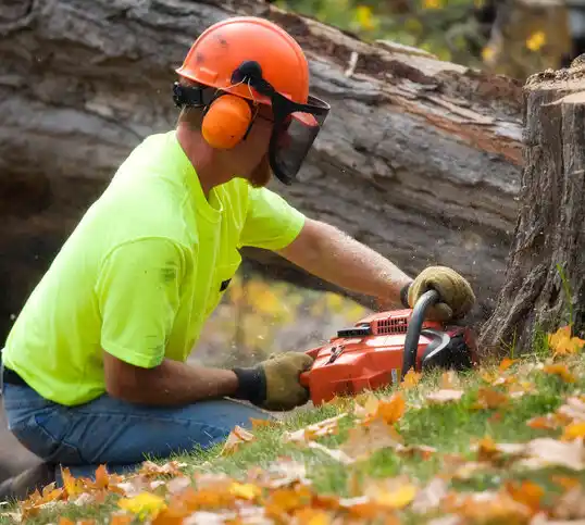 tree services Alpine